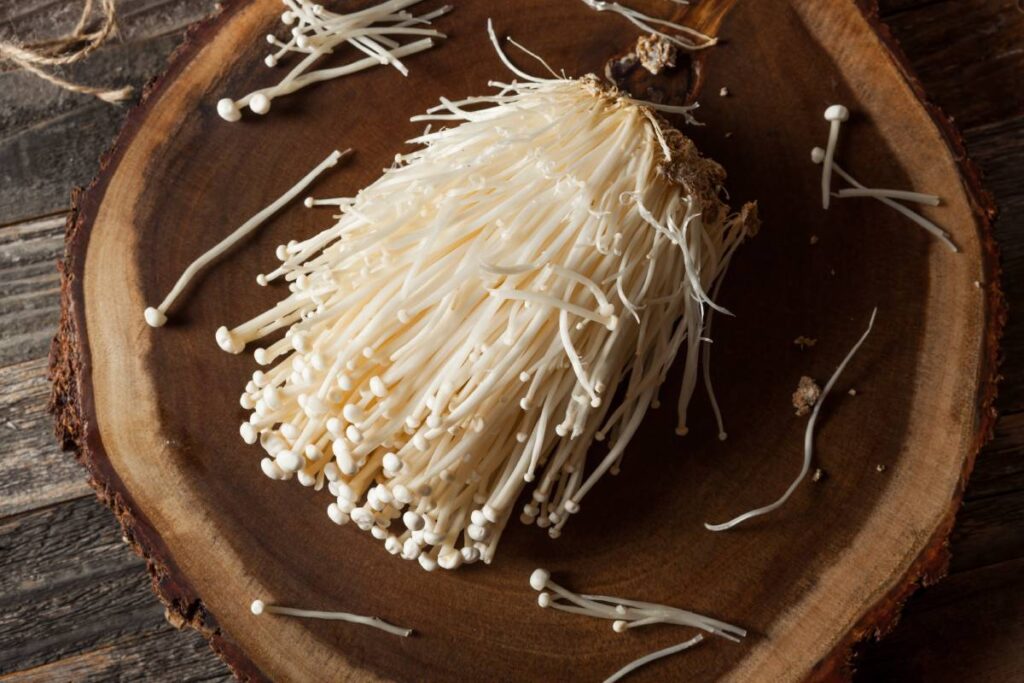 Raw Organic Enoki Mushrooms in a Bunching